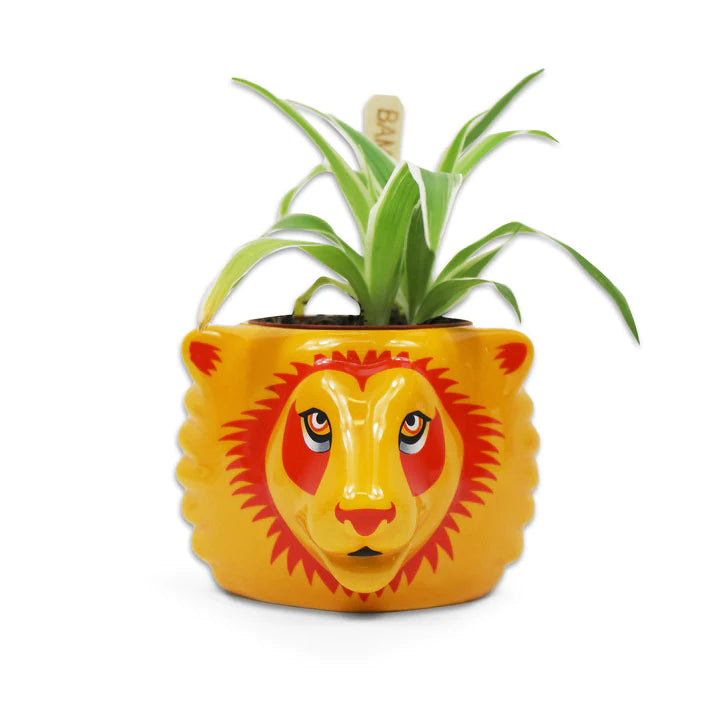 HARRY POTTER - Gryffindor - Plant Pot