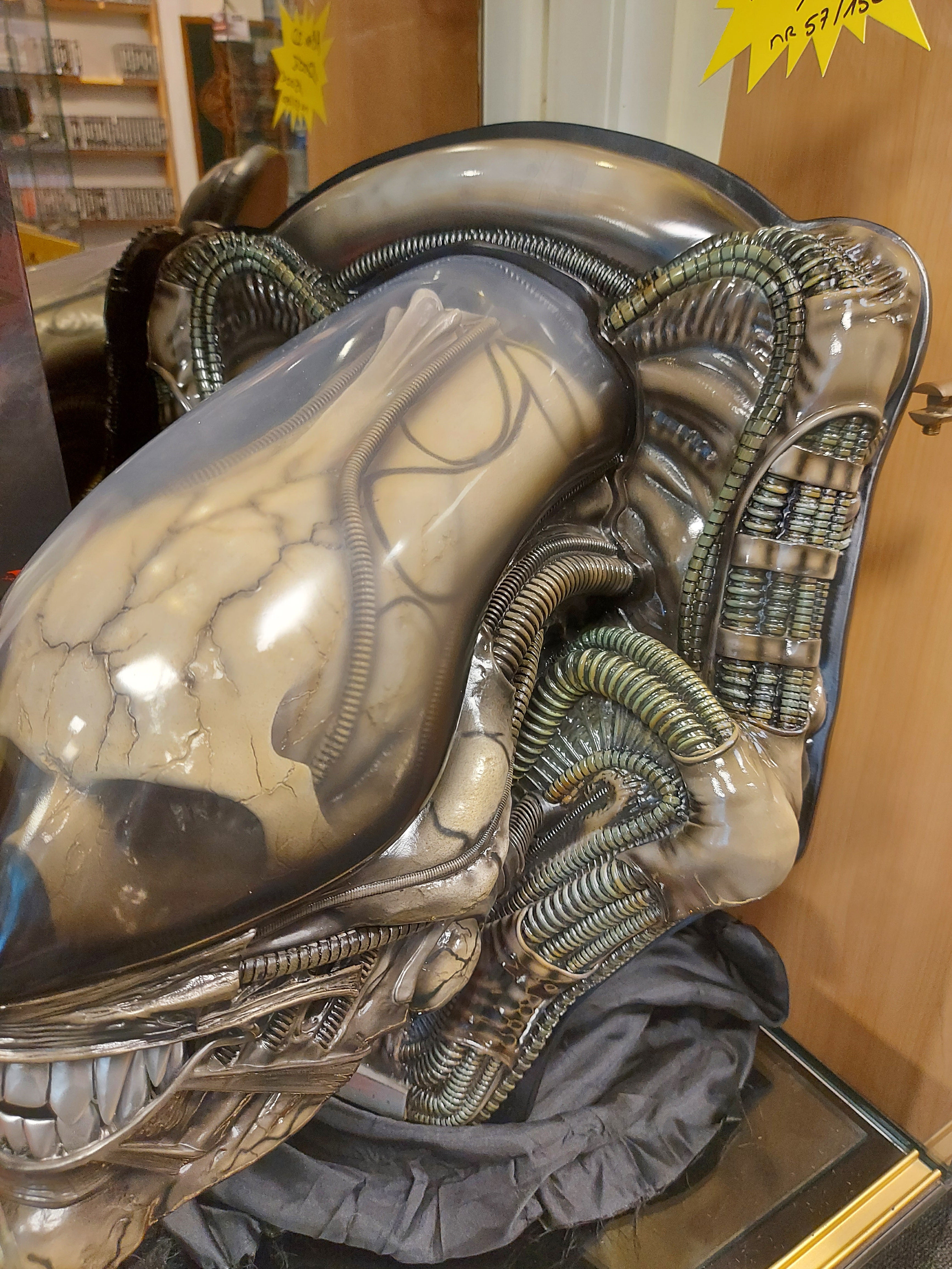 Alien 3D Wall Art Big Chap Head Trophy 58 cm NR 057/150