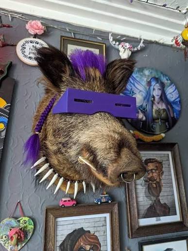 Turtles BEBOP Taxidermie project