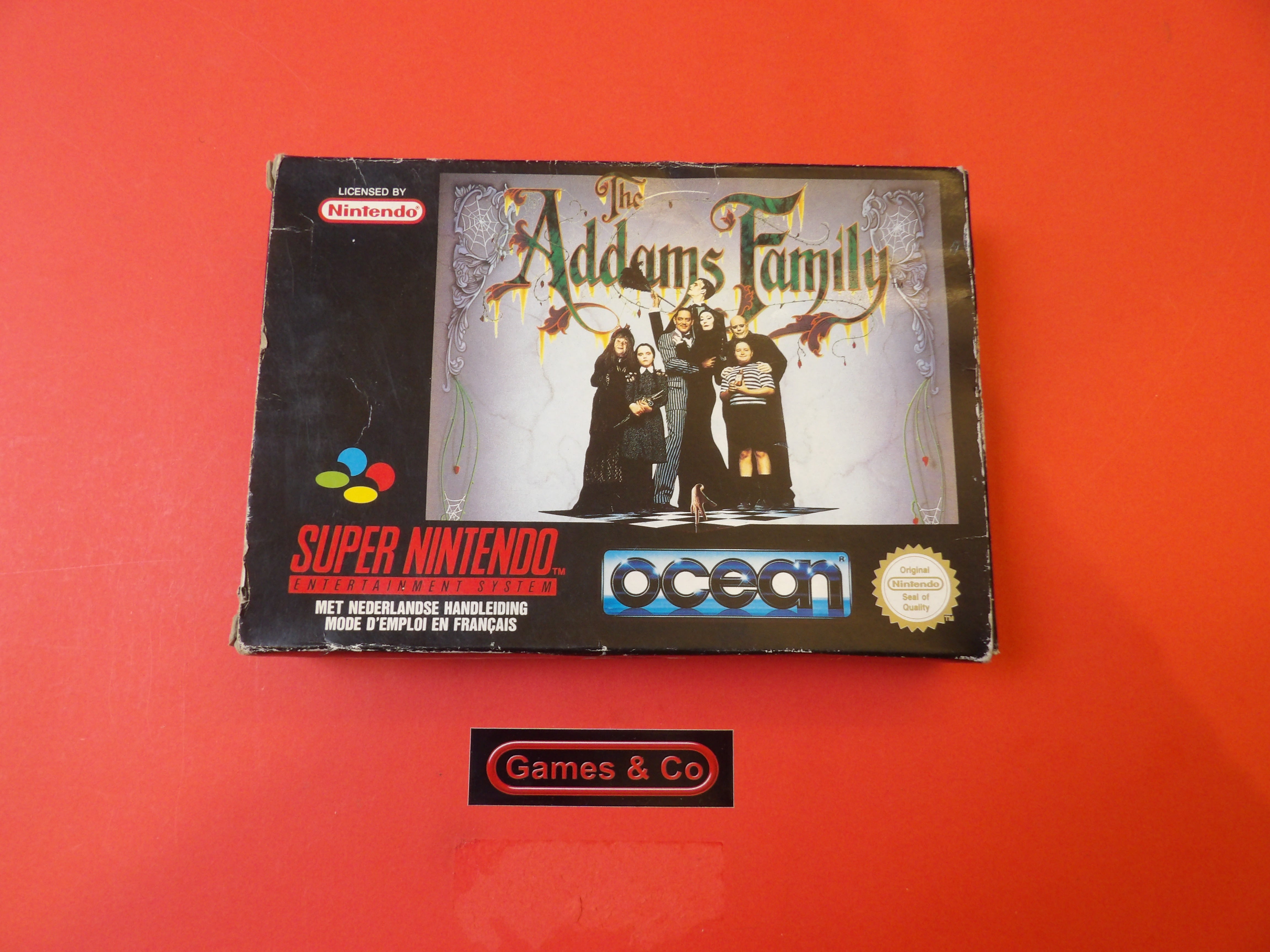 THE ADAMS FAMILY