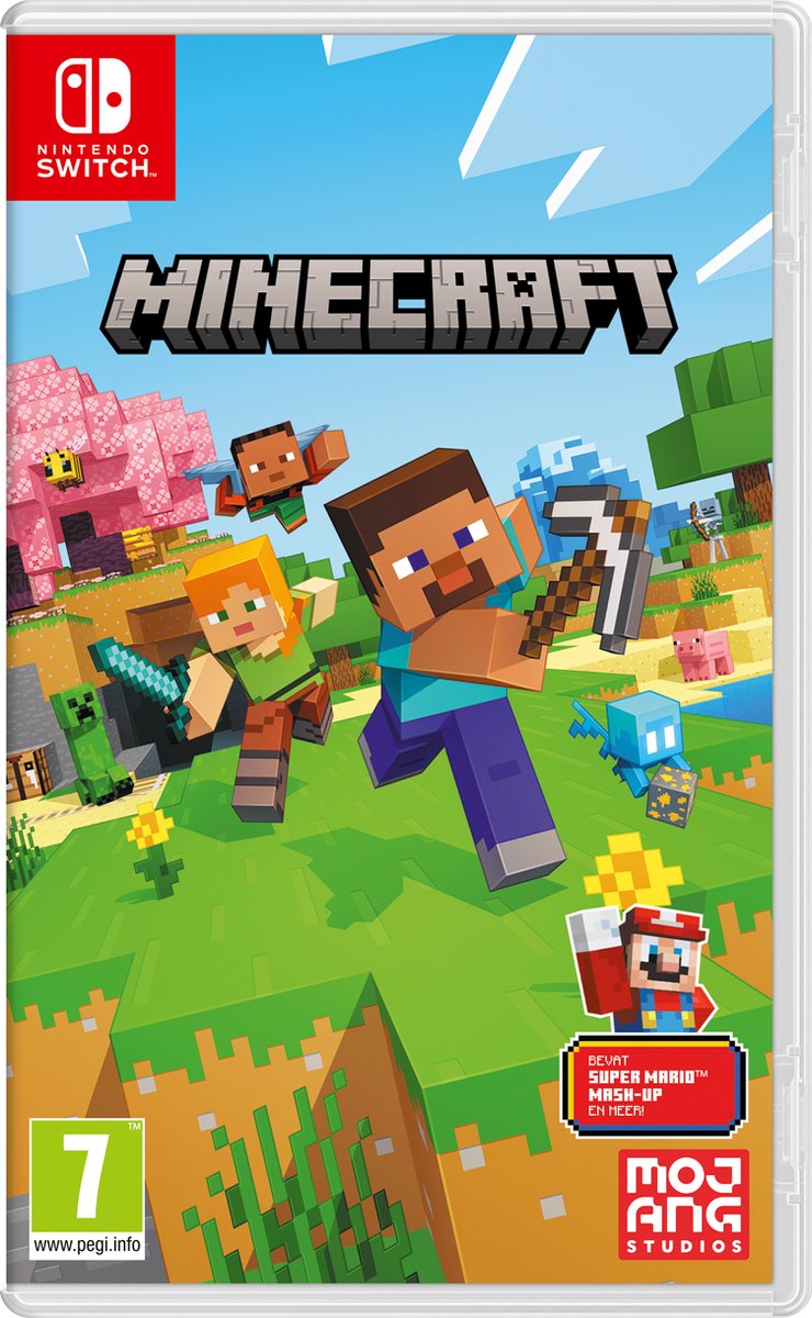 MINECRAFT NS