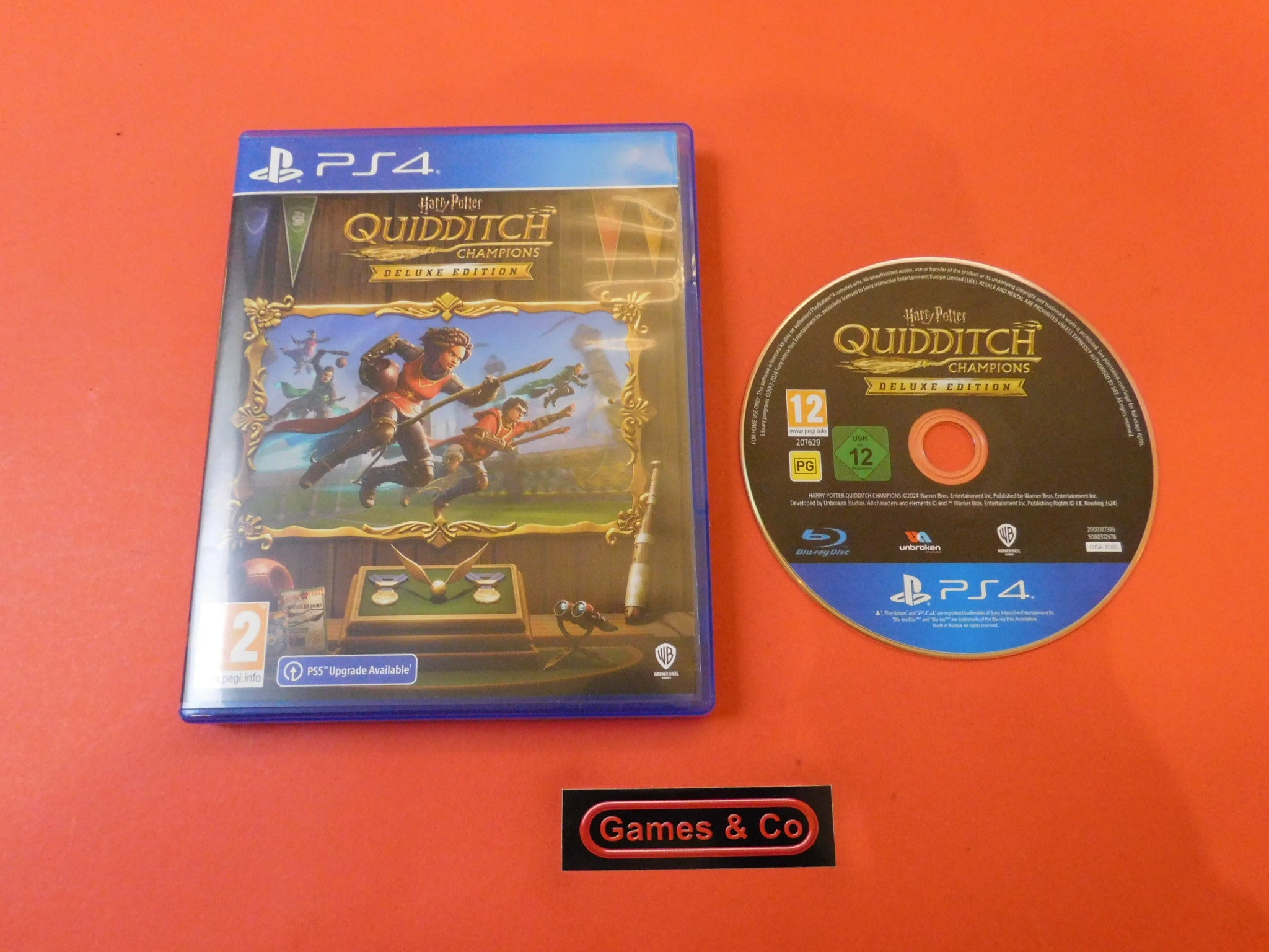 HARRY POTTER QUIDDITCH CHAMPIONS