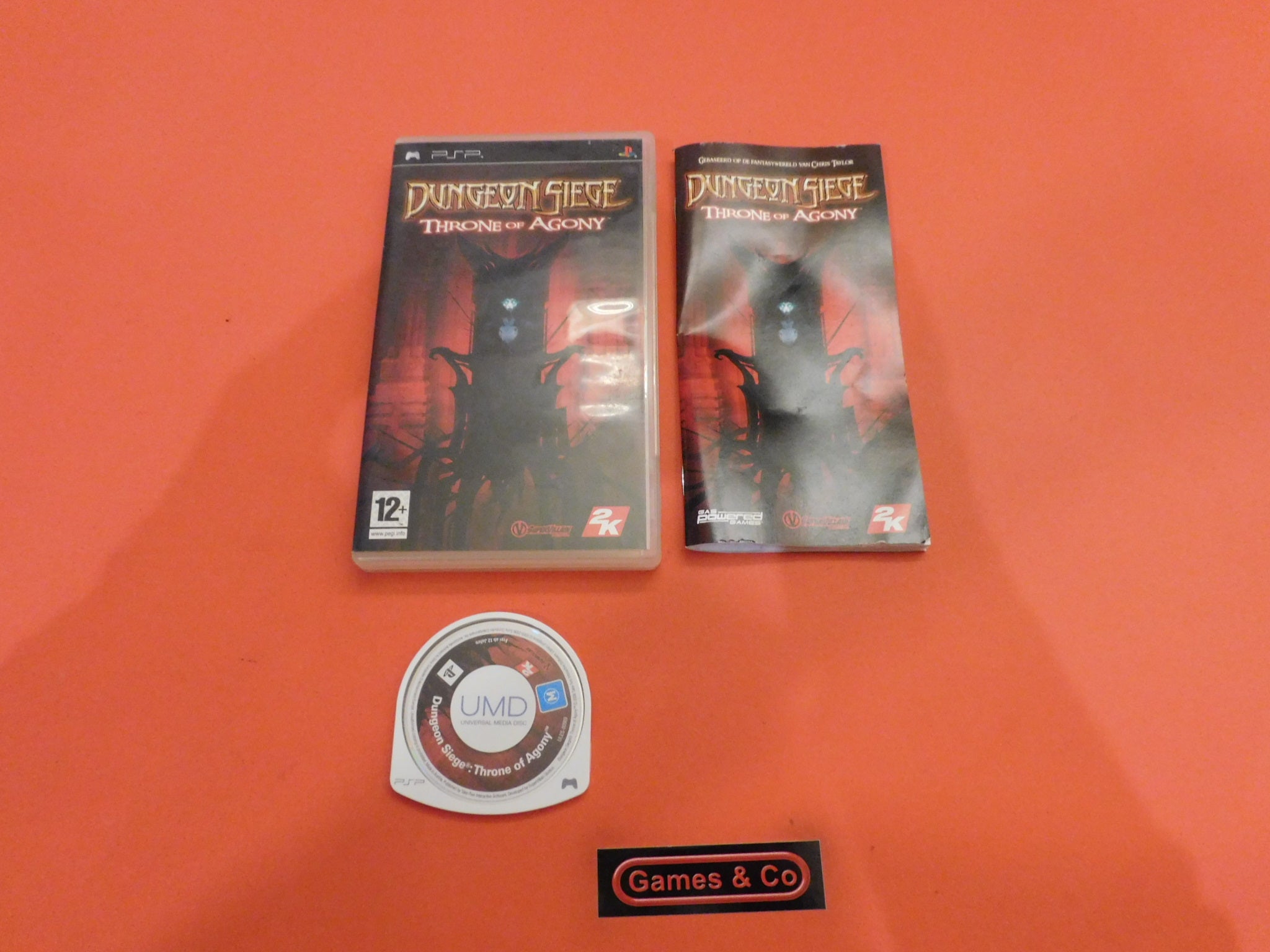 DUNGEON SIEGE THRONE OF AGONY