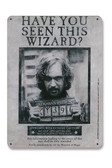Harry Potter Tin Sign Have You Seen This Wizard 15 x 21 cm