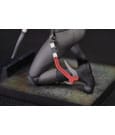 Tomb Raider PVC Statue The Legend of Lara Croft 19 cm