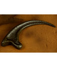 Jurassic Park Replica 1/1 Raptor Claw
