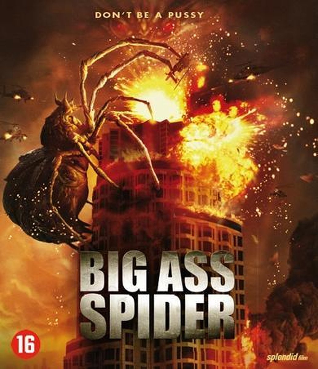 BIG ASS SPIDER
