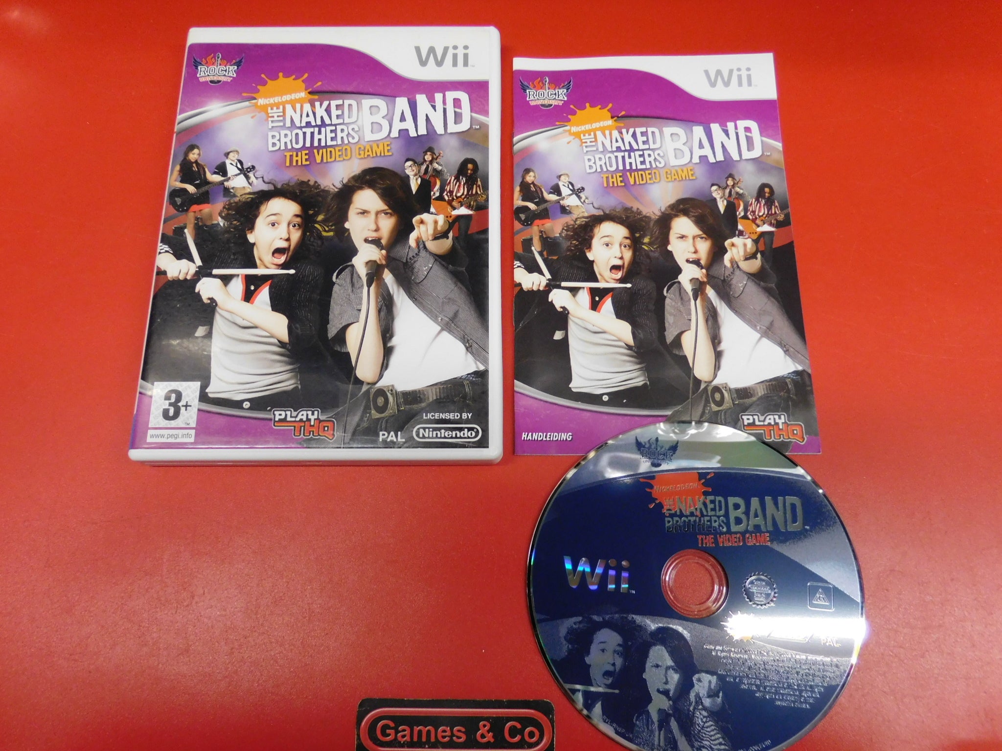 THE NAKED BROTHERS BAND THE VIDEO GAME
