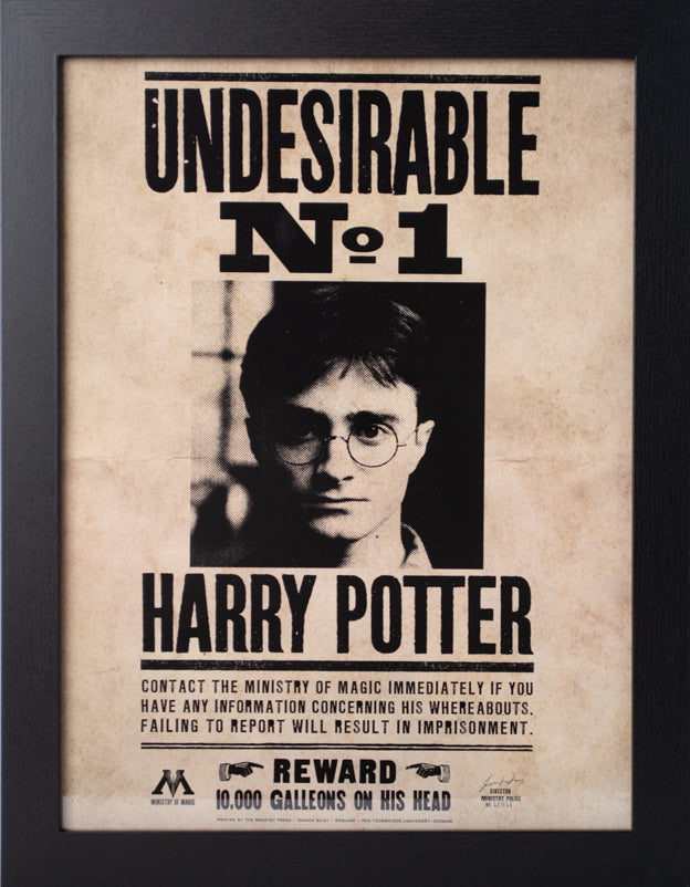 HARRY POTTER - INDÉSIRABLE N°1 - COLLECTOR PRINT '30X40CM'