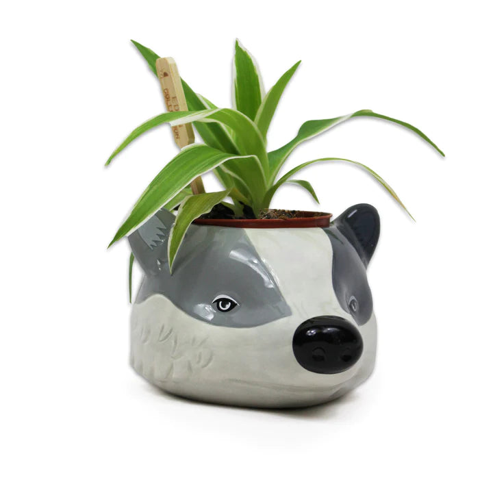 HARRY POTTER - Hufflepuff - Plant Pot